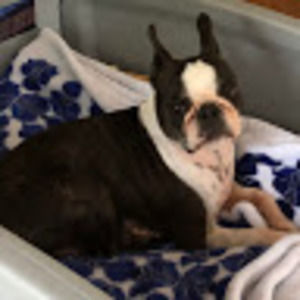 Meet your Posher, Sara